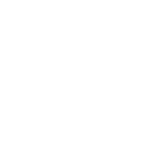 Topic-Logo_white_transparent